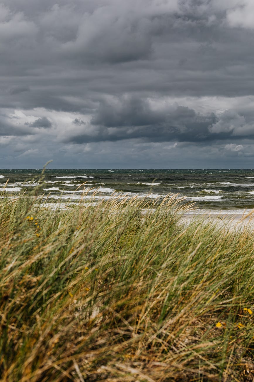 Hold On, But Let Yourself Sway